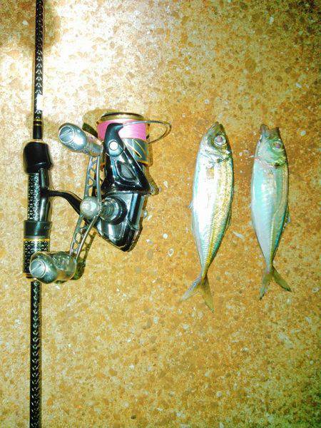 アジほんまアジの巻